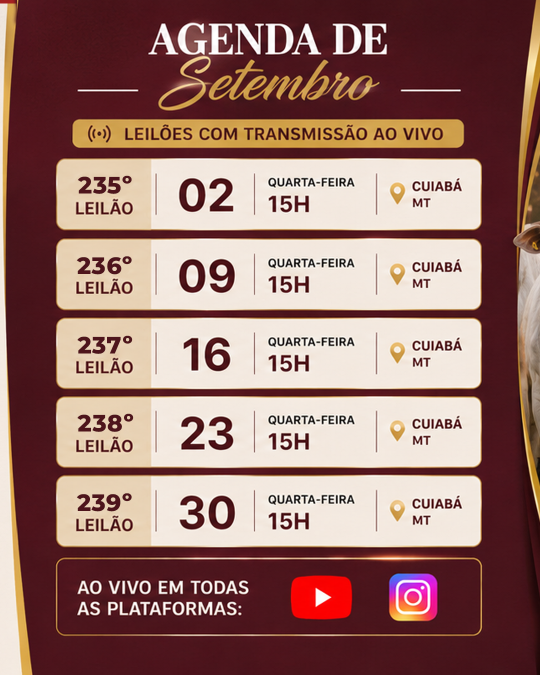 slides-banner_02